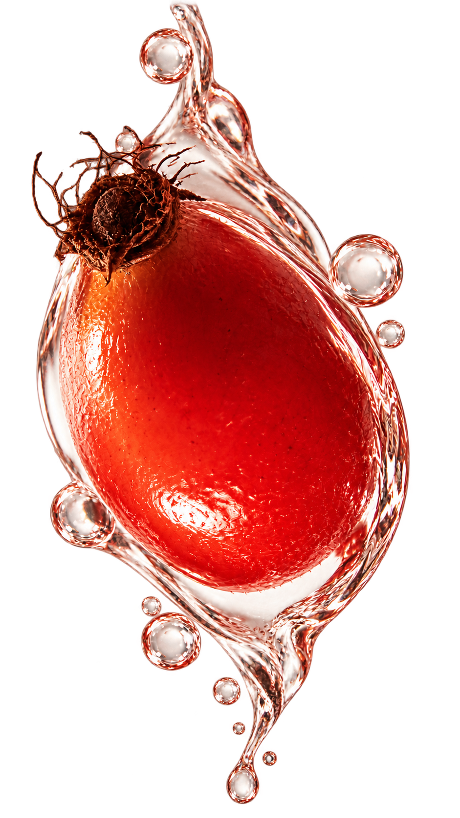 A single AP-4® rosehip captured mid-splash, representing purity and concentrated potency