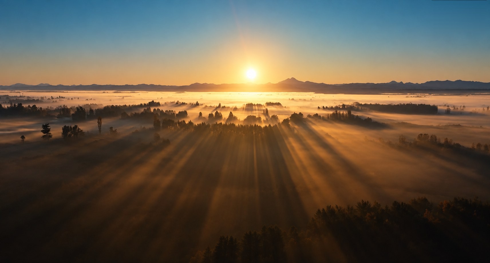 Sunrise mist over the SUKO Nordic AP-4® rosehip plantation in Southern Chile, with the Andes in the background