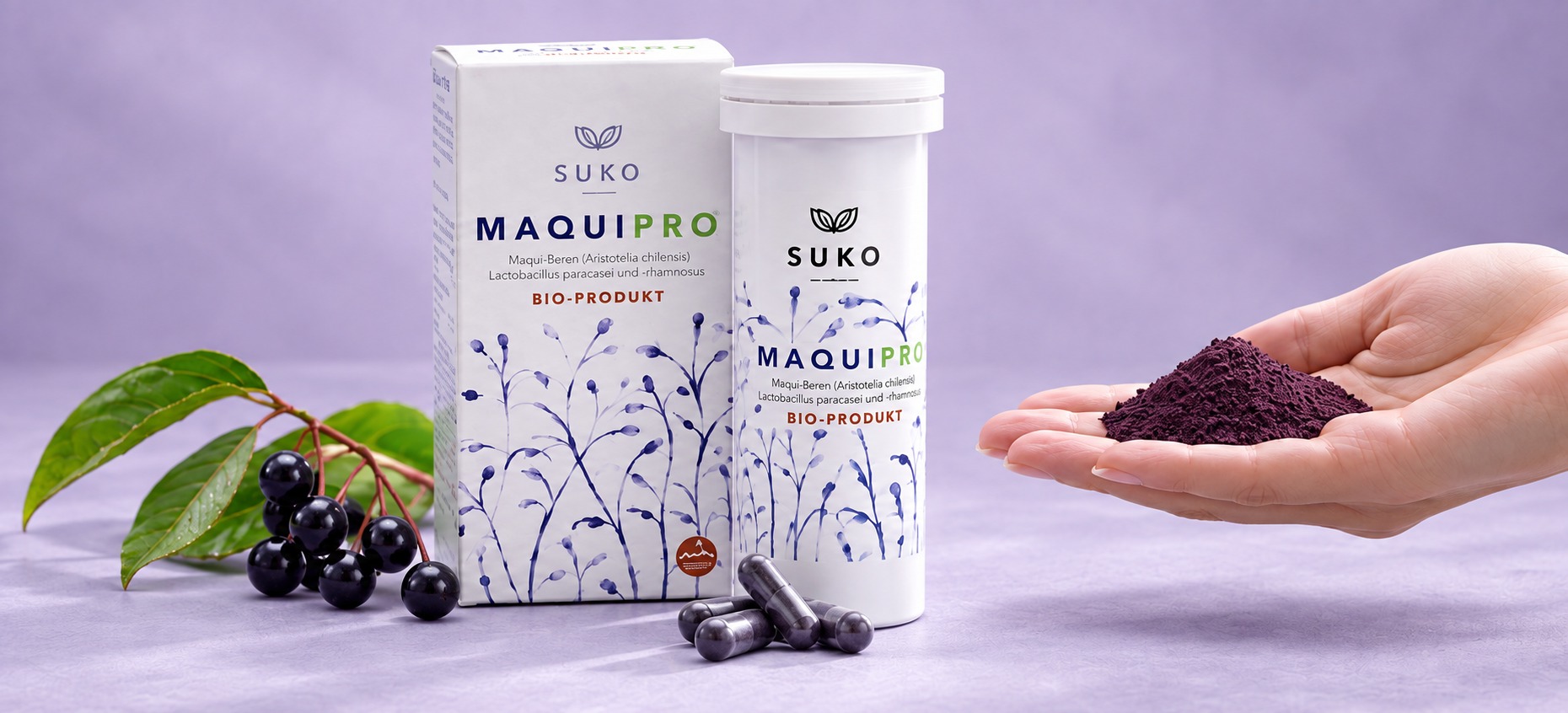MaquiPro® maqui berry and probiotic product box, tube and vegetarian capsules with fresh maqui berries and a hand holding a pile of maqui powder