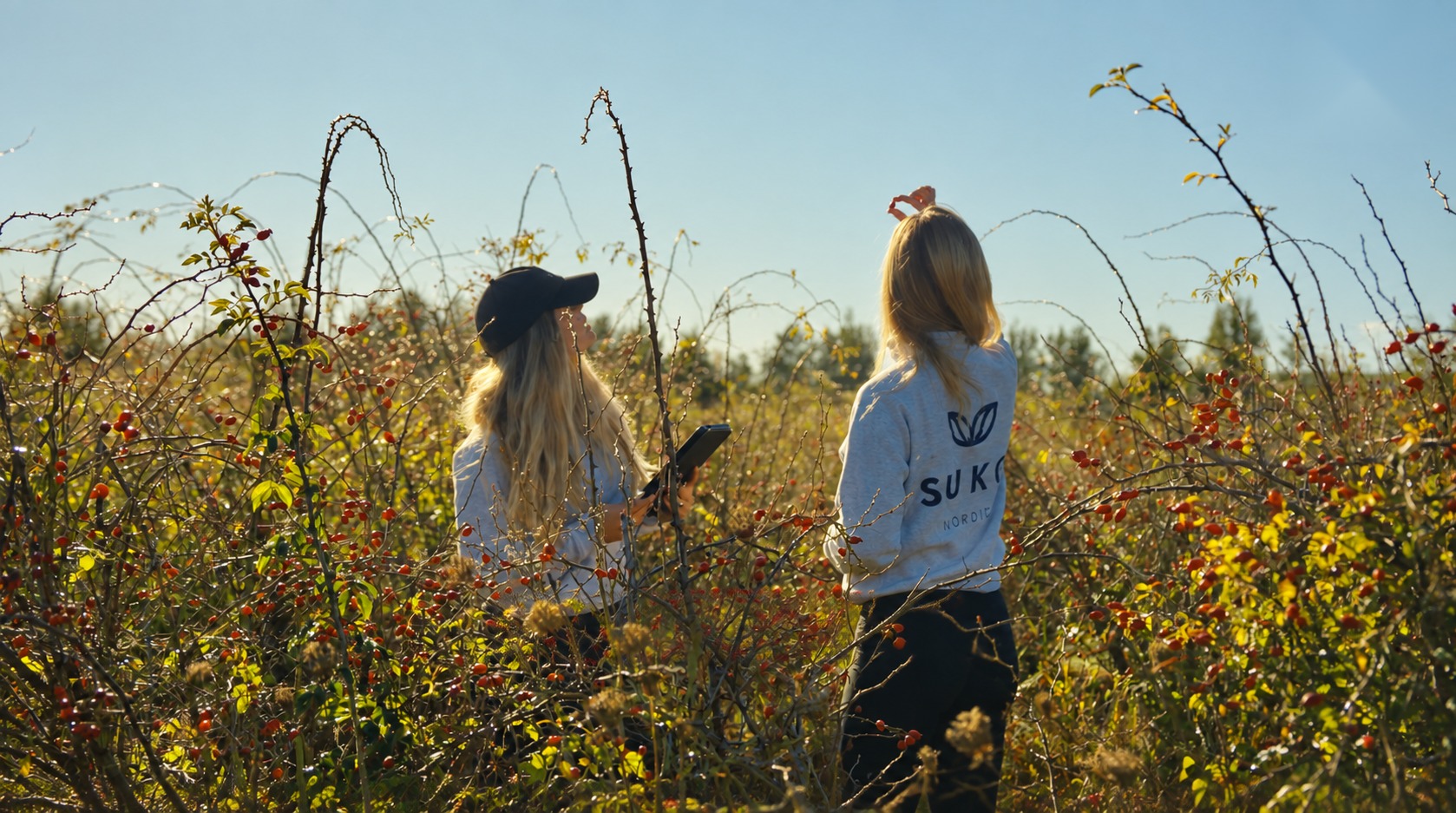 Amanda and Isabel Kristoffersen inspecting AP-4® rosehip plants in the field
