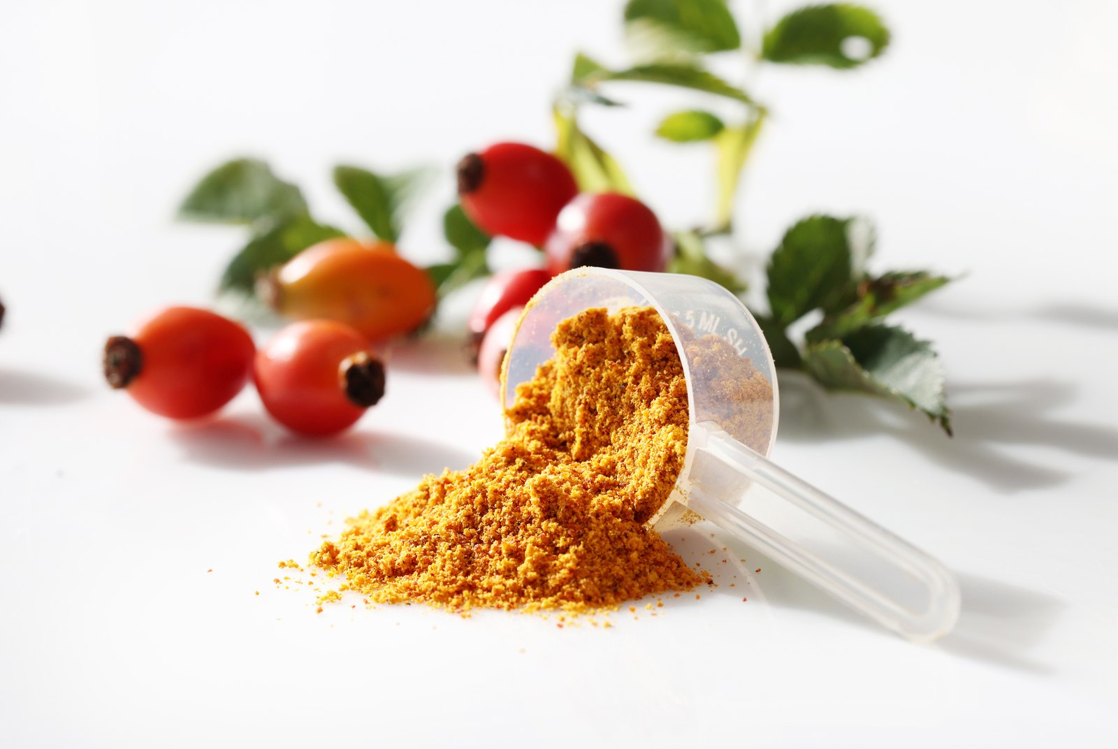 AP-4® rosehip powder spilling from a scoop with fresh rosehips and leaves in the background