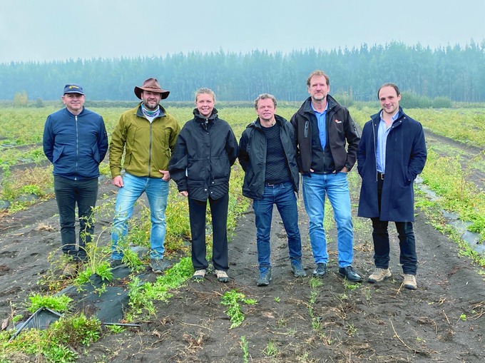 Sofia at the AP-4® plantation in Southern Chile, 2022